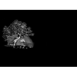 Lapida para nicho grabada laser L-105