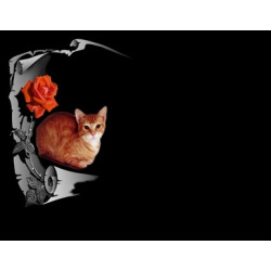 Lapida para nicho con incrustacion de ceramica LI-112