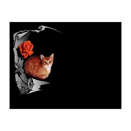 Lapida para nicho con incrustacion de ceramica LI-112