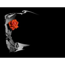 Lapida para nicho grabada laser L-194