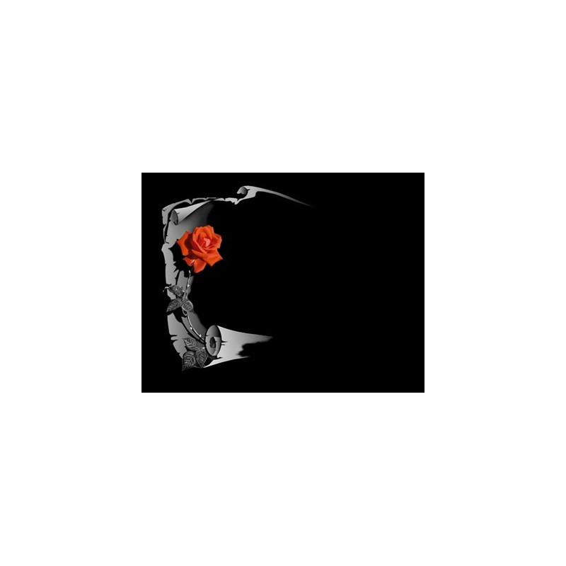 Lapida para nicho grabada laser L-194