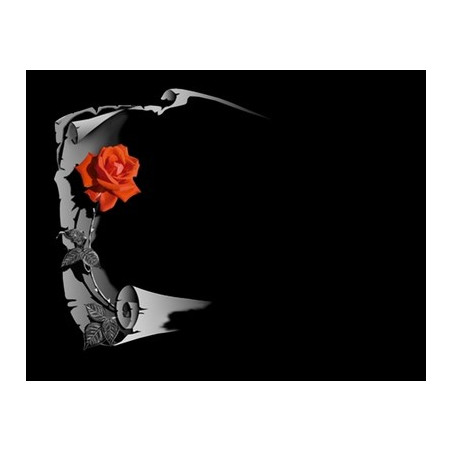 Lapida para nicho grabada laser L-194