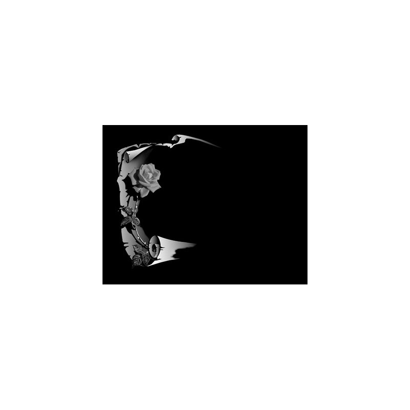 Lapida para nicho grabada laser L-195