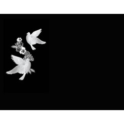 Lapida para nicho grabada laser L-111