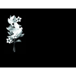 Lapida para nicho grabada laser L-220