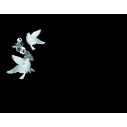 Lapida para nicho grabada laser L-223