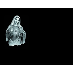 Lapida para nicho grabada laser L-227