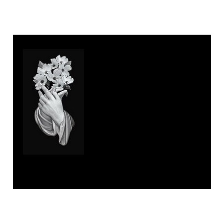 Lapida para nicho grabada laser L-248