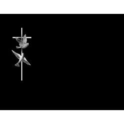 Lapida para nicho grabada laser L-264