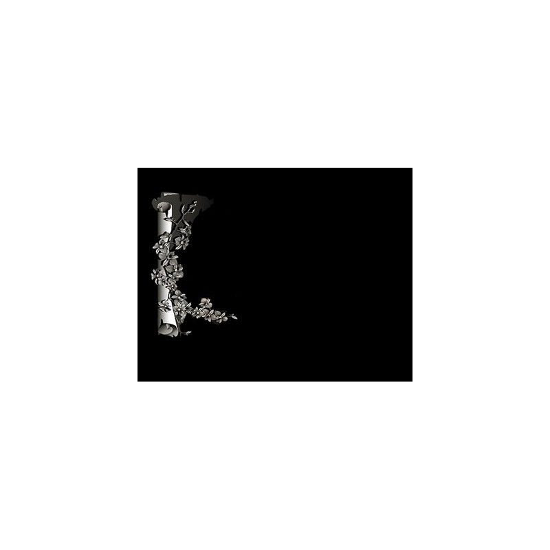 Lapida para nicho grabada laser L-313