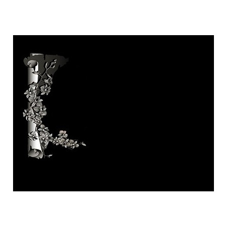 Lapida para nicho grabada laser L-313