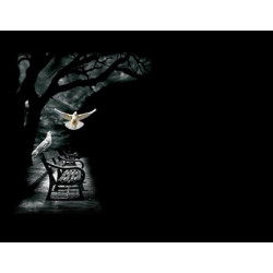 Lapida para nicho grabada laser L-326