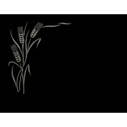 Lapida para nicho grabada laser L-373