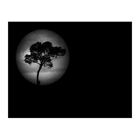 Lapida para nicho grabada laser L-377