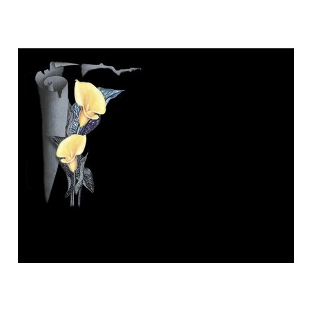 Lapida para nicho grabada laser L-378