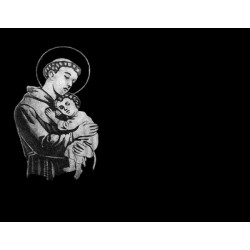 Lapida para nicho grabada laser L-381