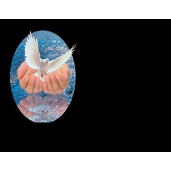 Lapida para nicho con incrustacion de cerámica IN-194