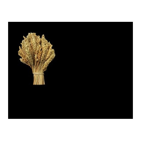 Lapida para nicho con incrustacion de cerámica IN-521