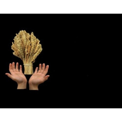 Lapida para nicho con incrustacion de cerámica IN-522