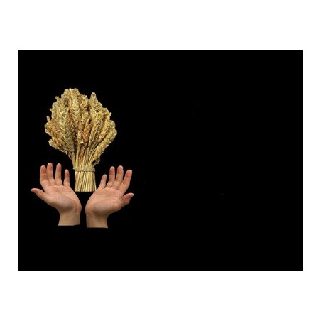 Lapida para nicho con incrustacion de cerámica IN-522