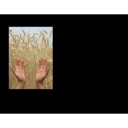 Lapida para nicho con incrustacion de cerámica IN-525