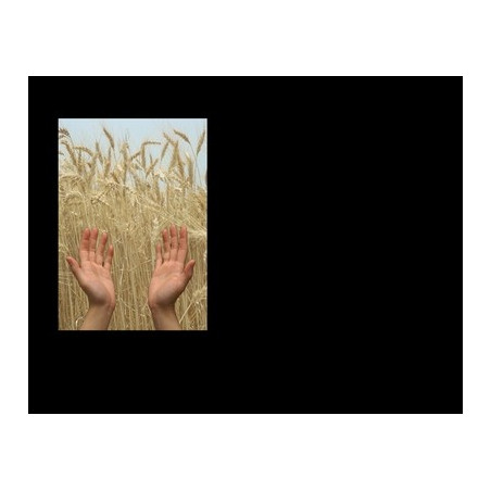 Lapida para nicho con incrustacion de cerámica IN-525