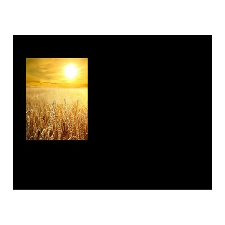 Lapida para nicho con incrustacion de cerámica IN-527