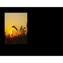 Lapida para nicho con incrustacion de cerámica IN-531