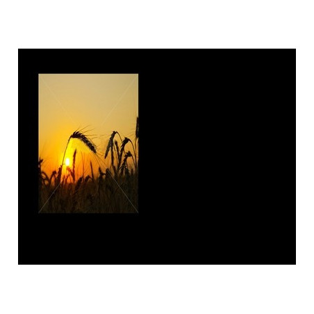 Lapida para nicho con incrustacion de cerámica IN-531