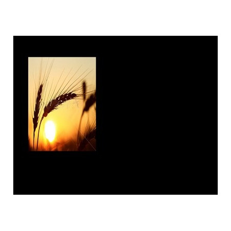 Lapida para nicho con incrustacion de cerámica IN-532