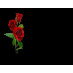 Lapida para nicho con incrustacion de cerámica IN-534