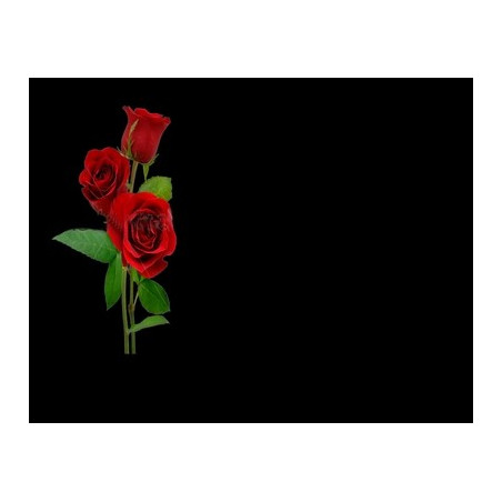 Lapida para nicho con incrustacion de cerámica IN-534