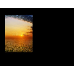 Lapida para nicho con incrustacion de cerámica IN-535