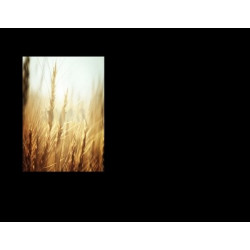 Lapida para nicho con incrustacion de cerámica IN-536