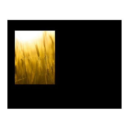 Lapida para nicho con incrustacion de cerámica IN-537