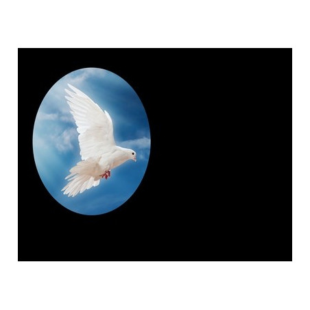 Lapida para nicho con incrustacion de cerámica IN-543