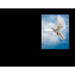 Lapida para nicho con incrustacion de cerámica IN-544