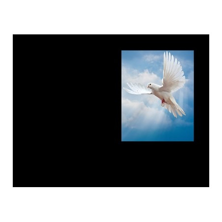 Lapida para nicho con incrustacion de cerámica IN-544