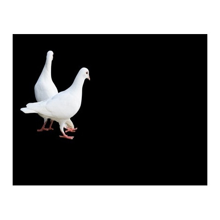 Lapida para nicho con incrustacion de cerámica IN-557