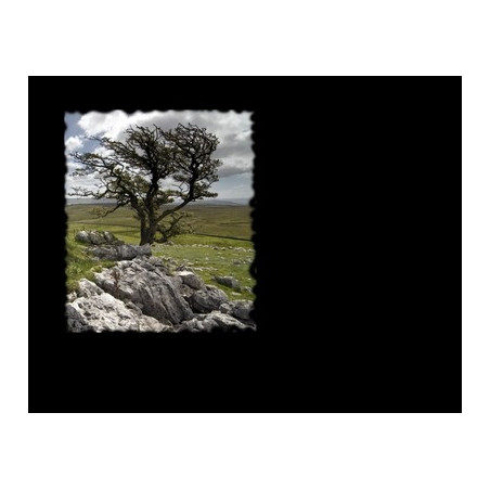 Lapida para nicho con incrustacion de cerámica IN-558