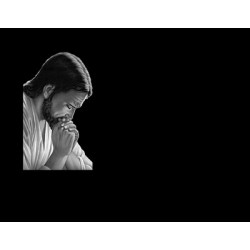 Lapida para nicho grabada laser L-156