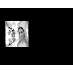 Lapida para nicho grabada laser L-162