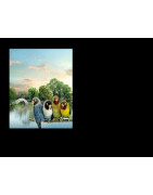 LAPIDAS INCRUSTACIONES